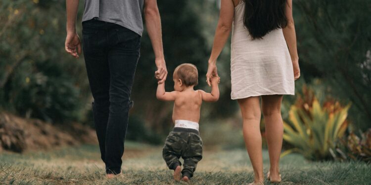 whole-family support for domestic violence and abuse