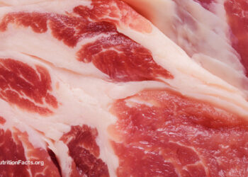 The Meat Papers Contradicted Their Own Data