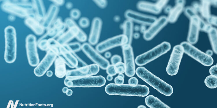 Feeding Our Gut Microbiome for Better Health